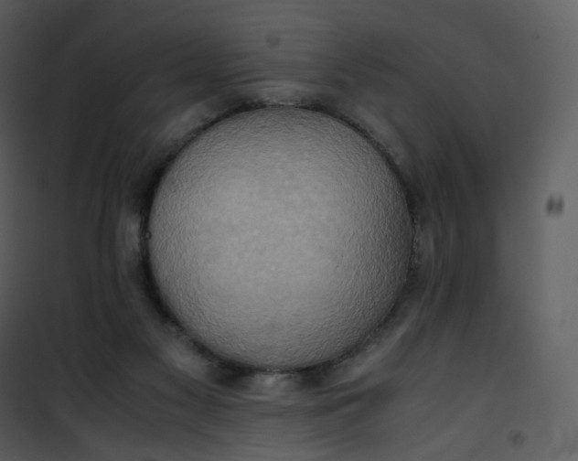 X0000101190117200807181520