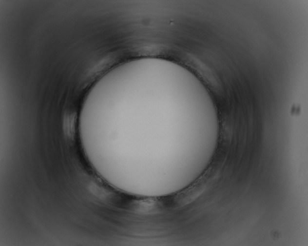 X0000101190118200807181520