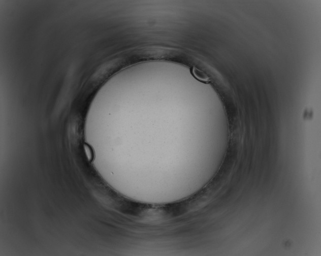 X0000101190119200807181520