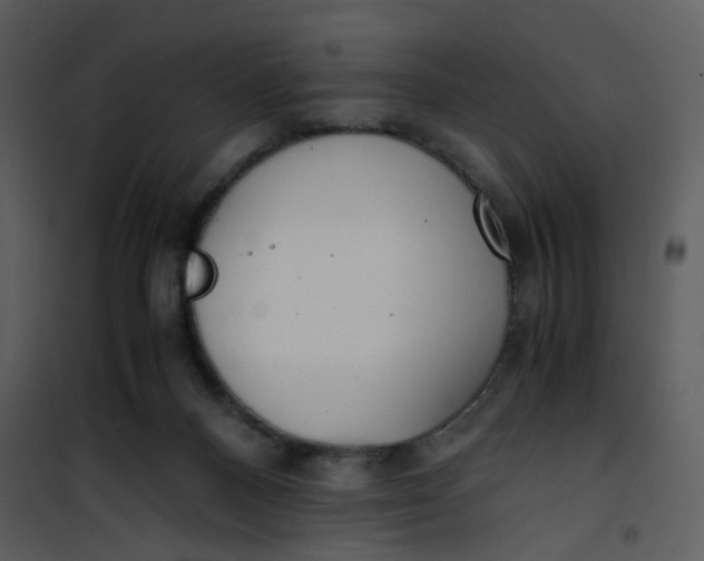 X0000101190120200807181520