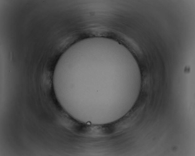 X0000101190121200807181520