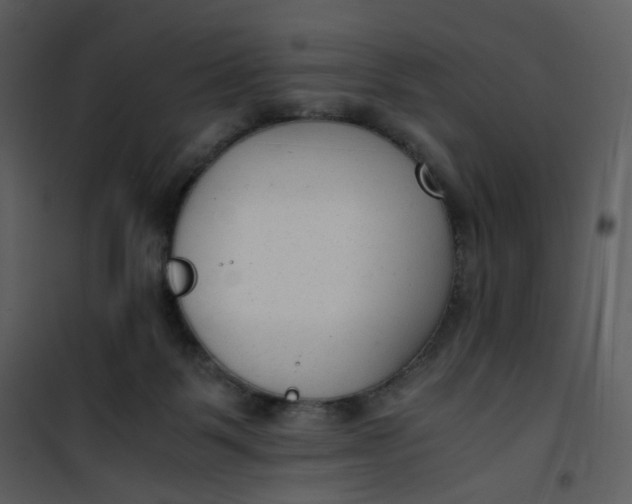 X0000101190123200807181520
