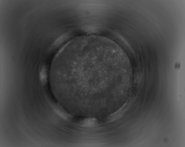 X0000101190124200807181520