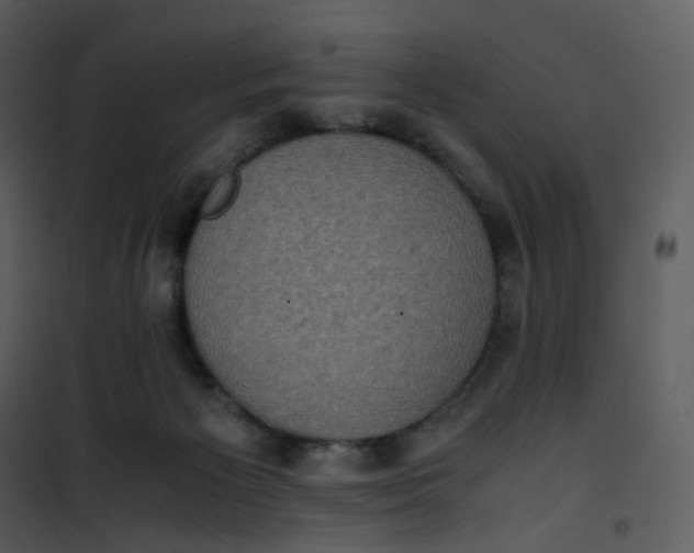X0000101190125200807181520