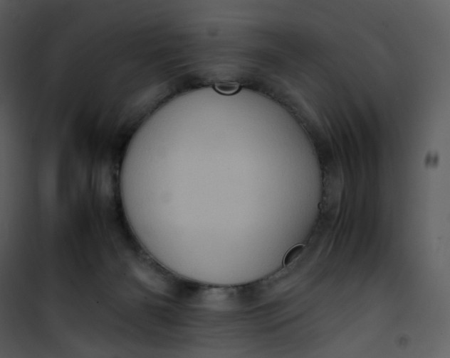 X0000101190126200807181520