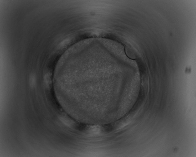 X0000101190127200807181520