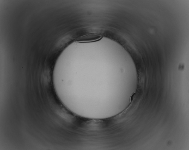 X0000101190128200807181520