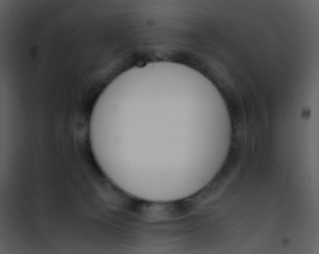X0000101190129200807181520