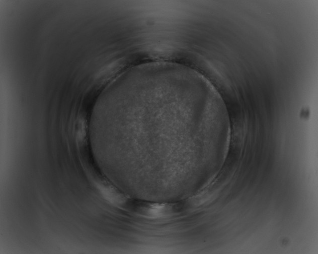 X0000101190130200807181520