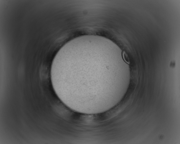 X0000101190131200807181520