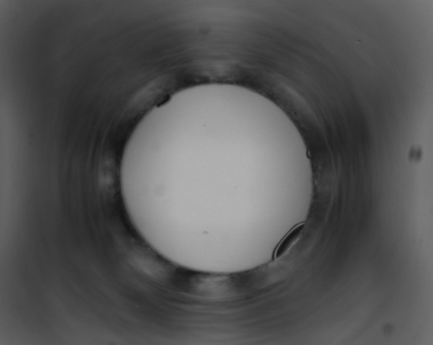X0000101190132200807181520