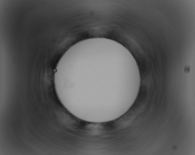 X0000101190133200807181520