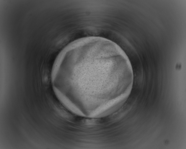 X0000101190134200807181520