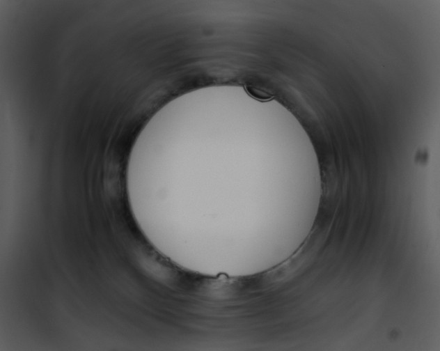 X0000101190136200807181520