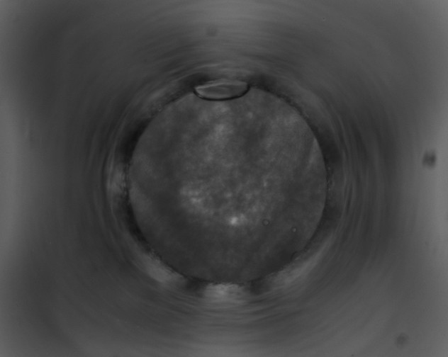 X0000101190137200807181520