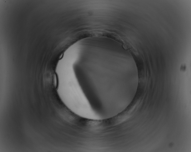 X0000101190139200807181520
