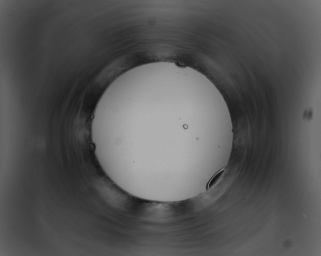 X0000101190140200807181520