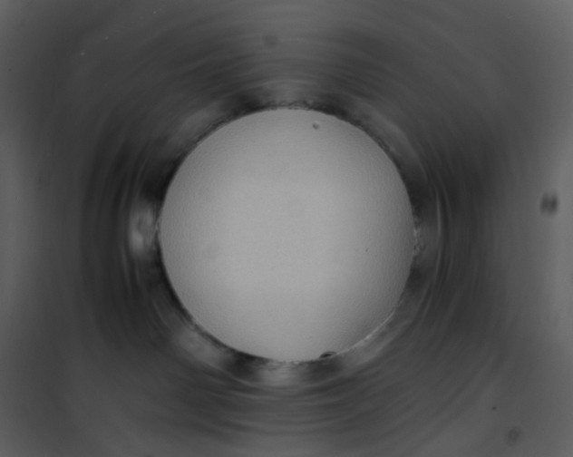 X0000101190142200807181520