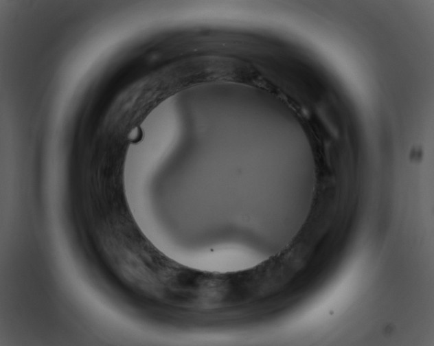 X0000101190143200807181520