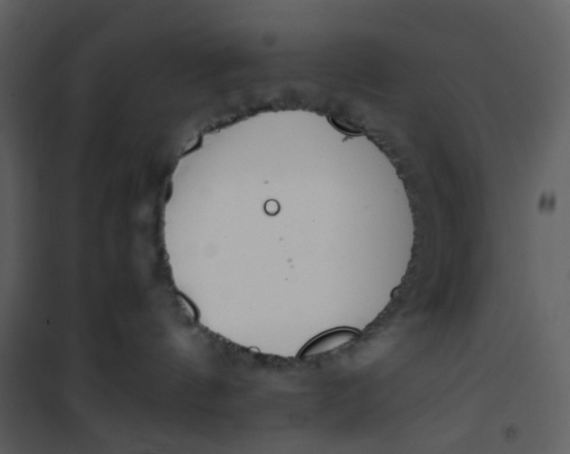 X0000101190144200807181520