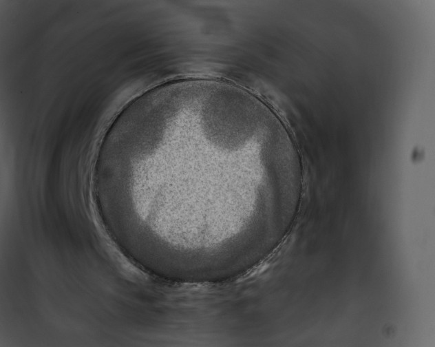 X0000101190145200807181519