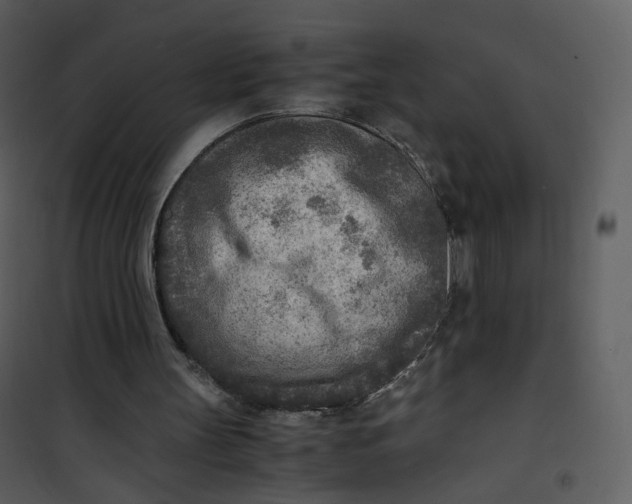 X0000101190147200807181519