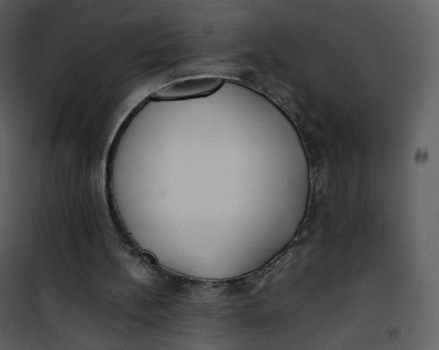 X0000101190148200807181519