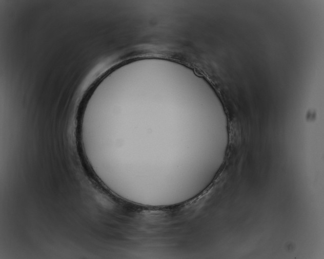X0000101190150200807181519