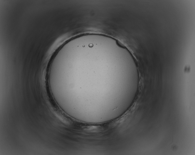 X0000101190151200807181519