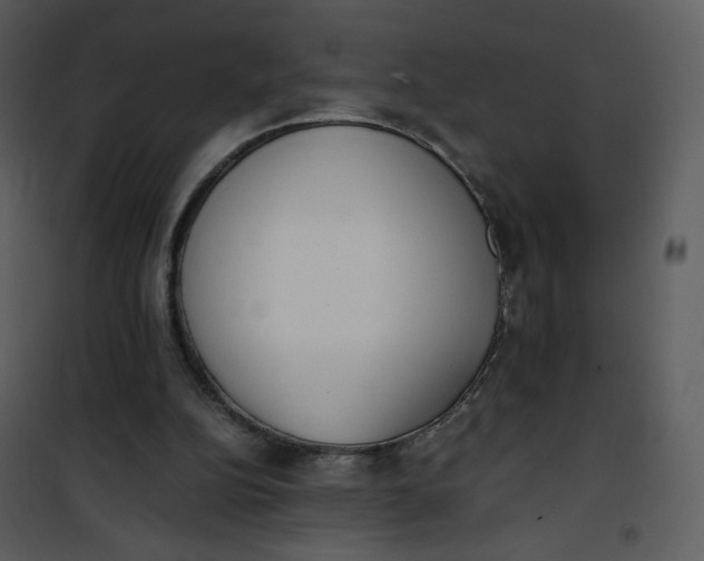 X0000101190152200807181519