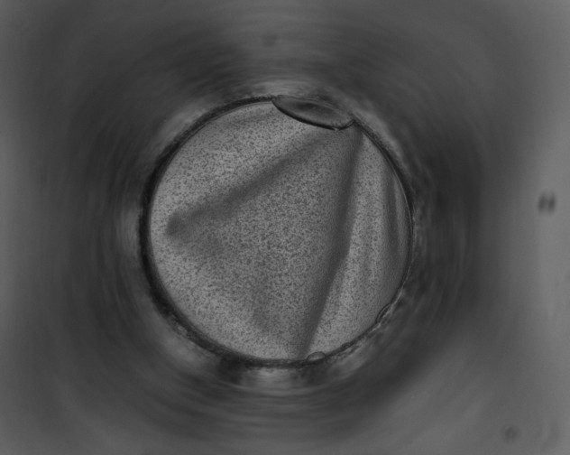 X0000101190154200807181519