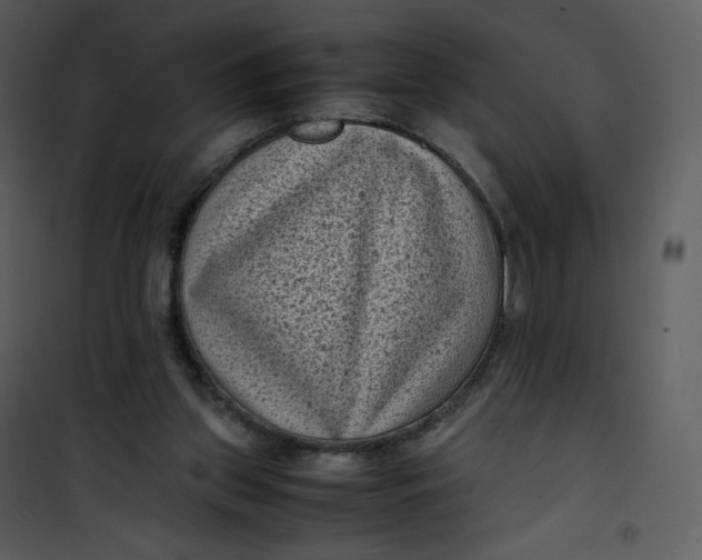 X0000101190157200807181519