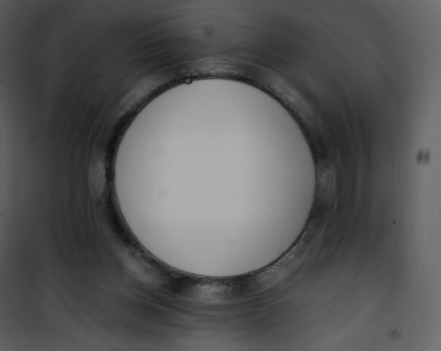 X0000101190158200807181519