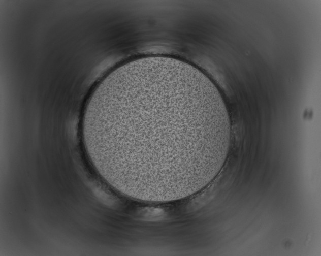 X0000101190159200807181519