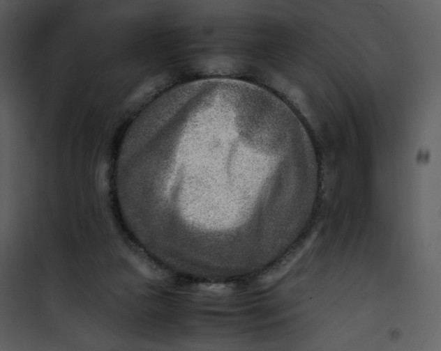 X0000101190161200807181519