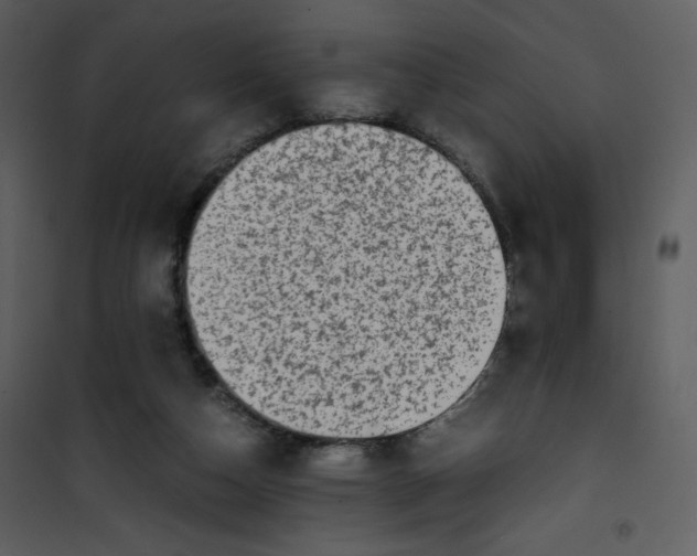 X0000101190162200807181519