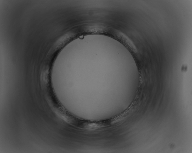 X0000101190163200807181519
