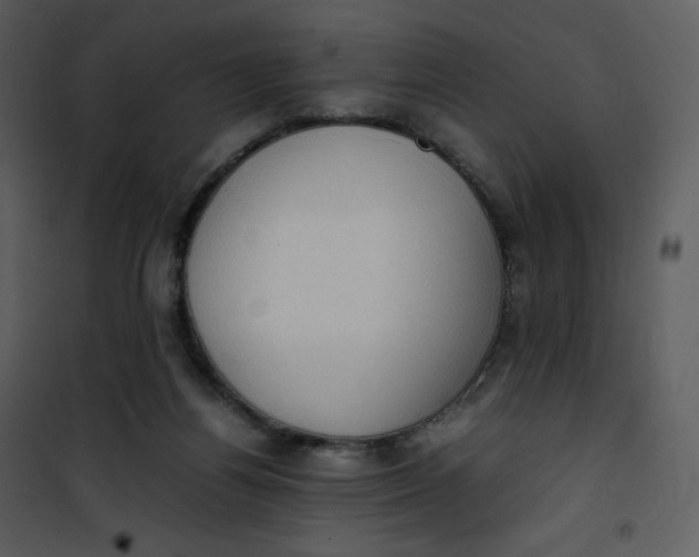 X0000101190164200807181519