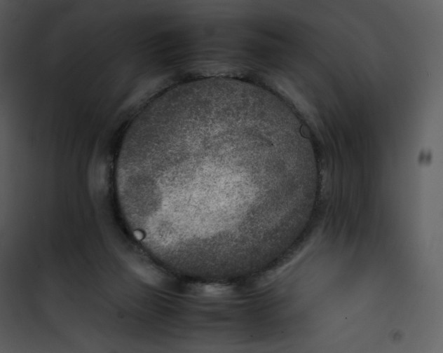 X0000101190165200807181519
