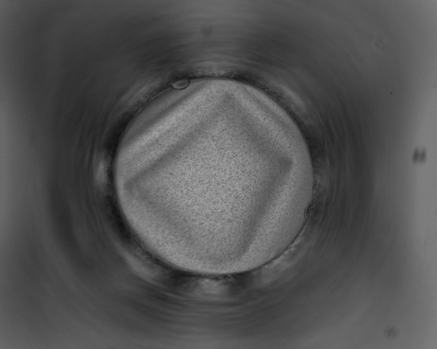 X0000101190166200807181519