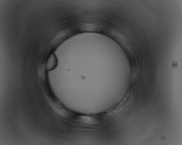 X0000101190167200807181519