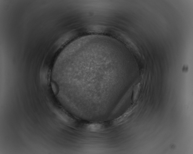 X0000101190168200807181519