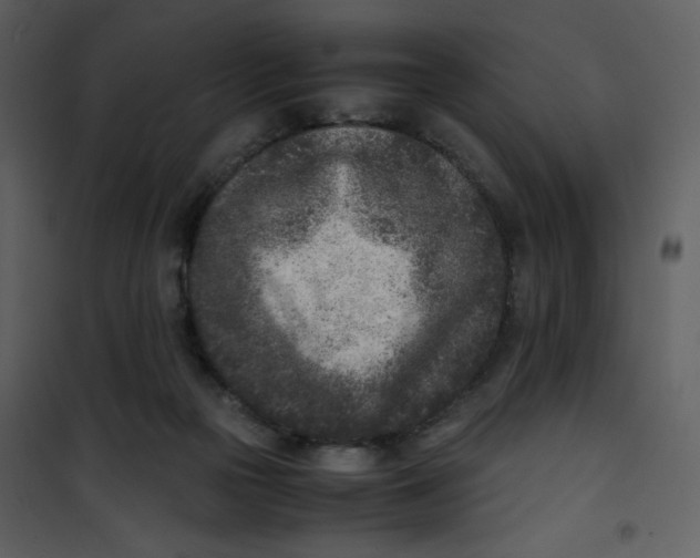 X0000101190169200807181519