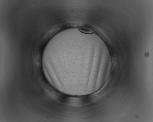 X0000101190170200807181519