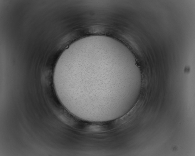X0000101190171200807181519