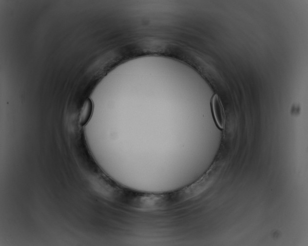 X0000101190172200807181519