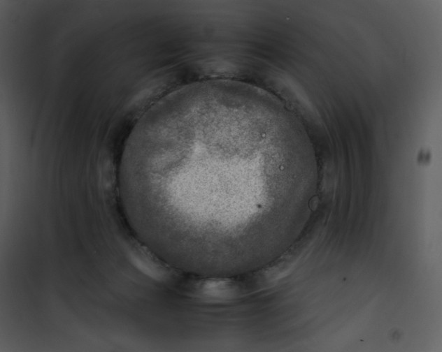 X0000101190173200807181519