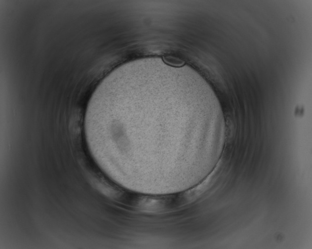 X0000101190174200807181519