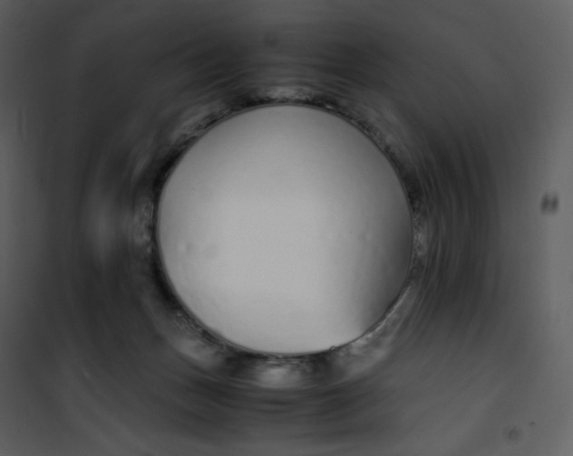 X0000101190175200807181519