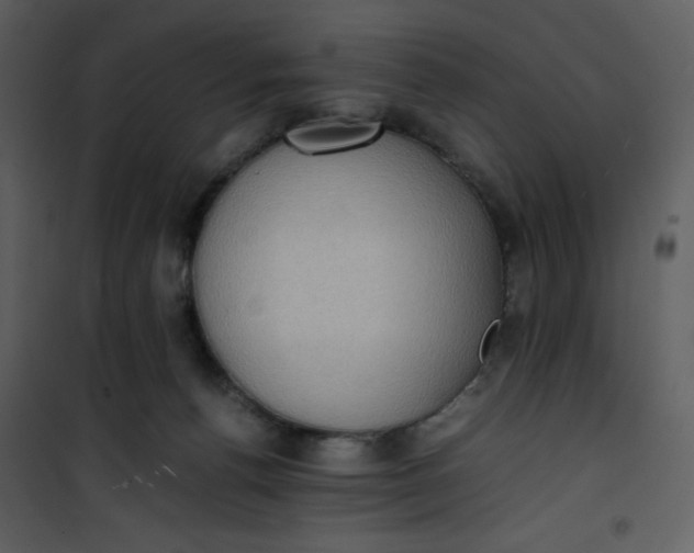X0000101190176200807181519